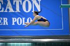 Diving vs USCGA  Wheaton College Swimming & Diving vs US Coast Guard Academy. - Photo By: KEITH NORDSTROM : Wheaton, Swimming, Diving